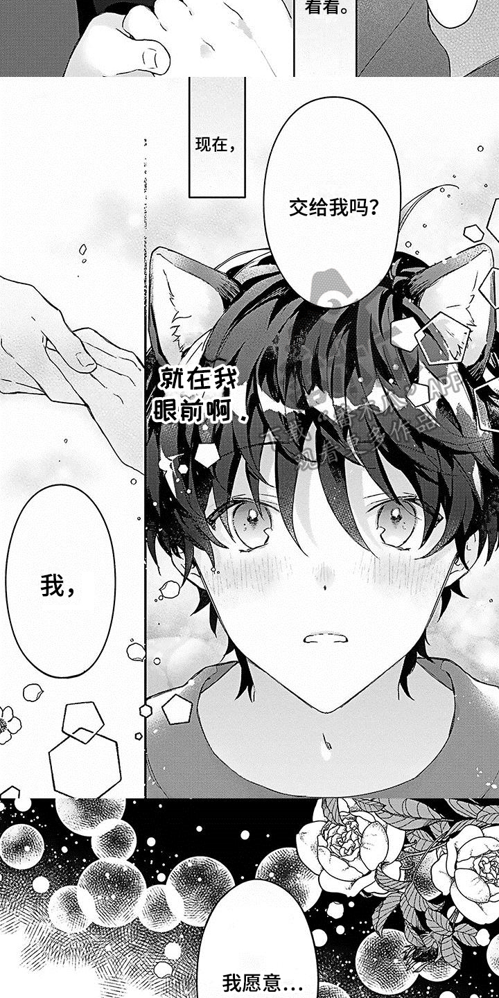《猫会梦见王子吗》第4章愿意 第4页