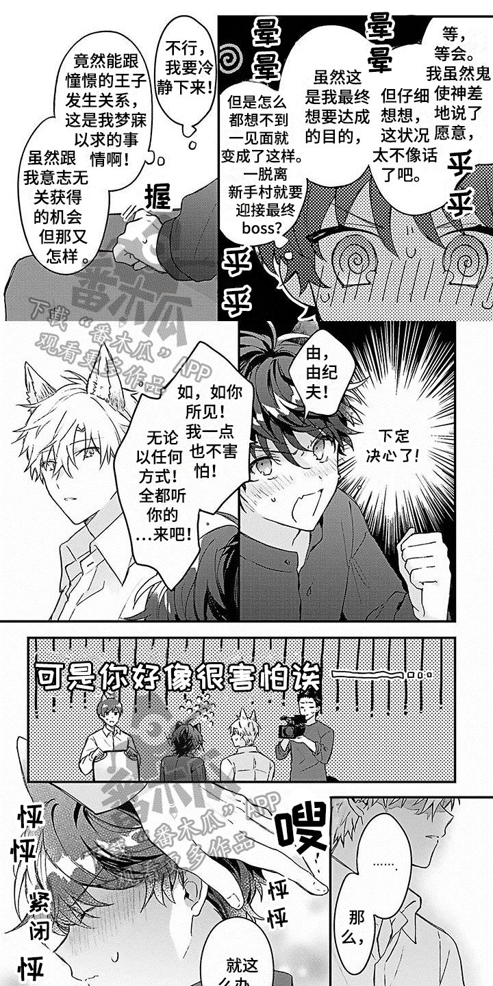 《猫会梦见王子吗》第5章安定 第1页