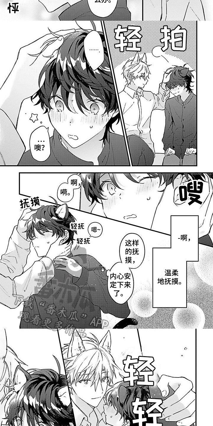 《猫会梦见王子吗》第5章安定 第2页