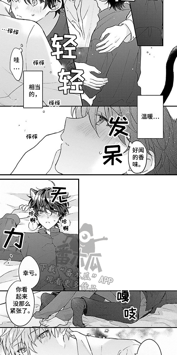 《猫会梦见王子吗》第5章安定 第3页
