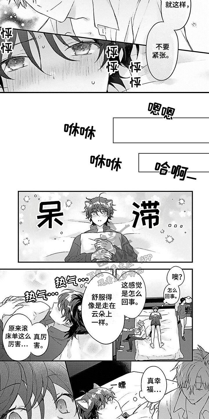 《猫会梦见王子吗》第5章安定 第4页