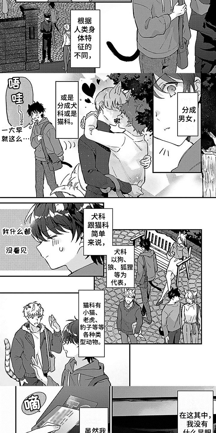 《猫会梦见王子吗》第1章应聘 第3页