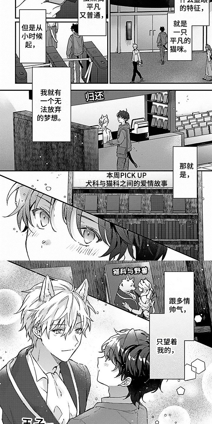 《猫会梦见王子吗》第1章应聘 第4页