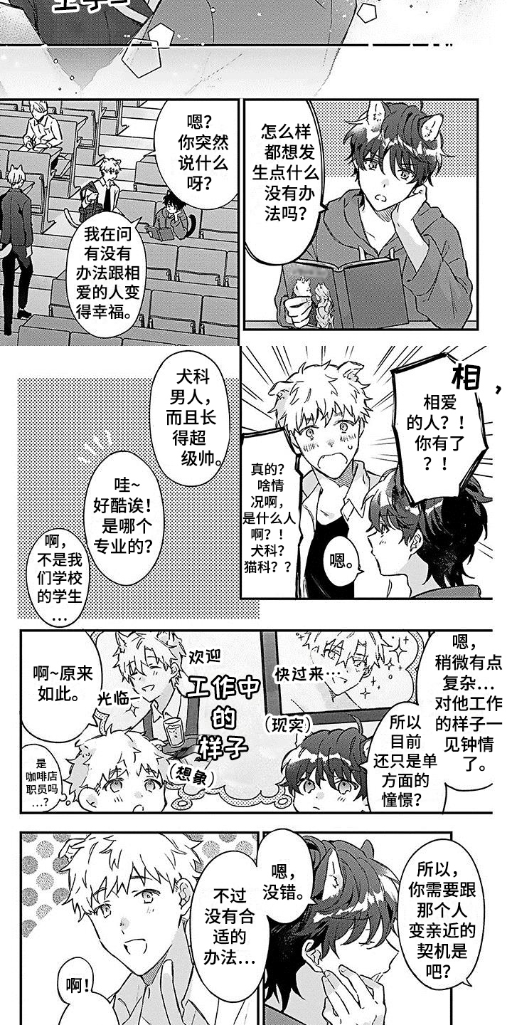 《猫会梦见王子吗》第1章应聘 第5页
