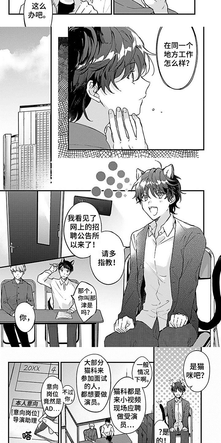 《猫会梦见王子吗》第1章应聘 第6页