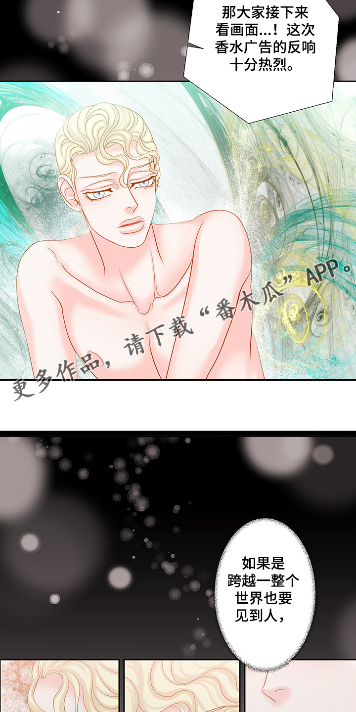 《王子的使命》第73章【完结】这一定是爱 第15页