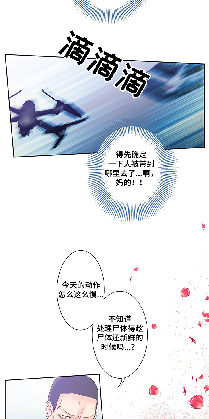 《王子的使命》第65章黑社会 第13页