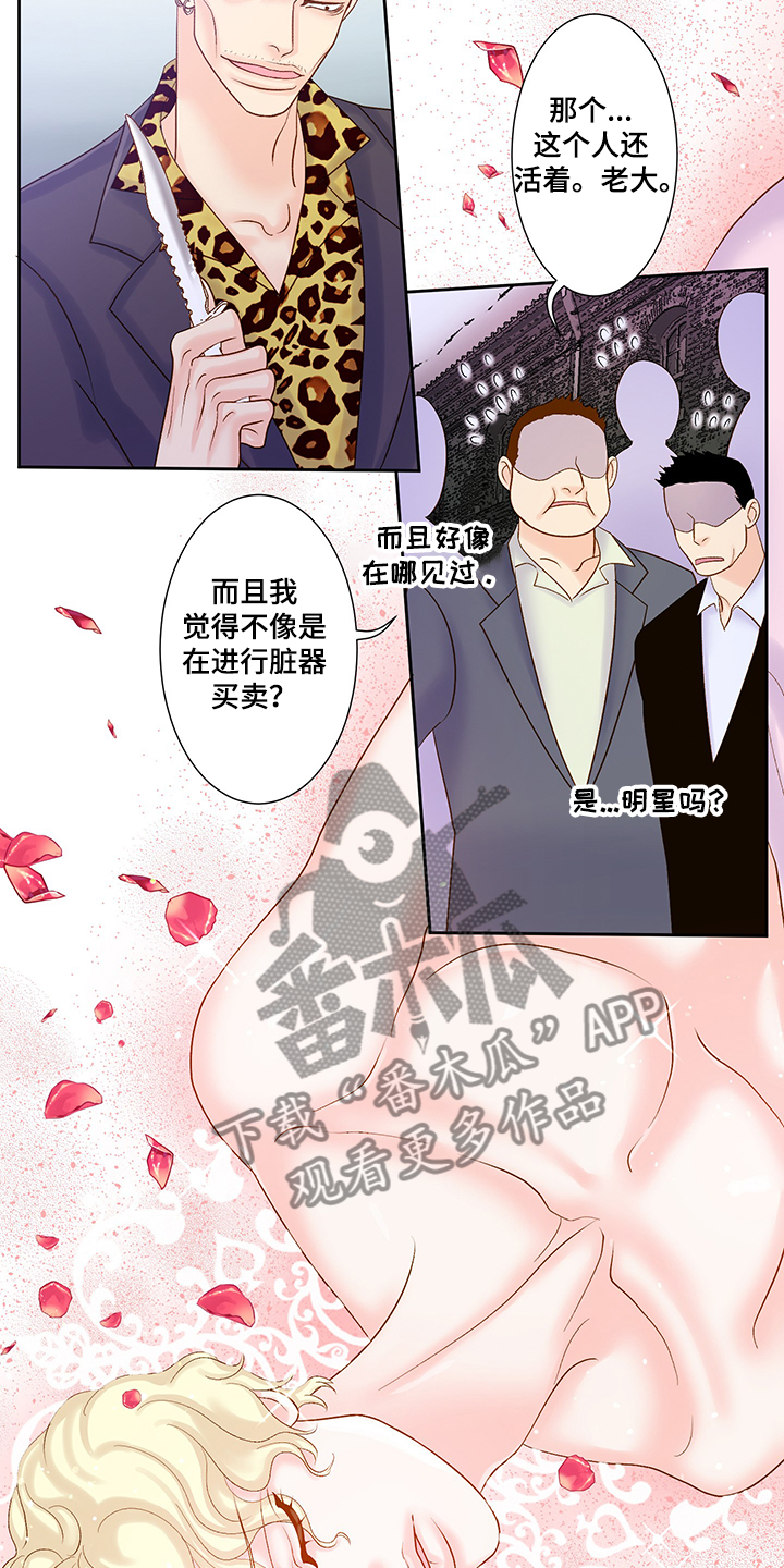 《王子的使命》第65章黑社会 第14页