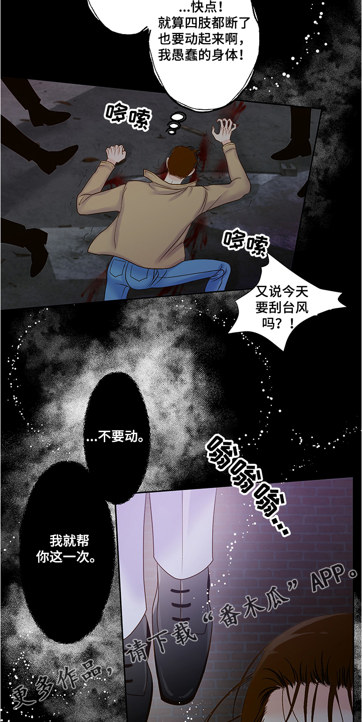 《王子的使命》第67章龙神降临 第13页