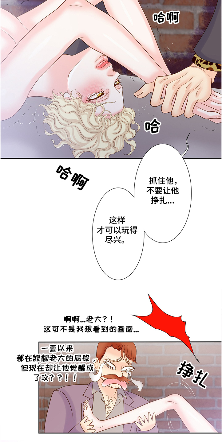 《王子的使命》第66章到底发生了什么 第16页