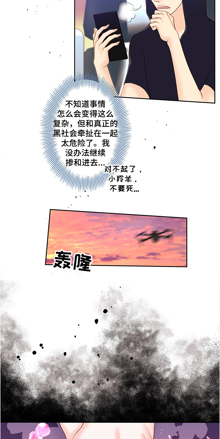 《王子的使命》第66章到底发生了什么 第6页