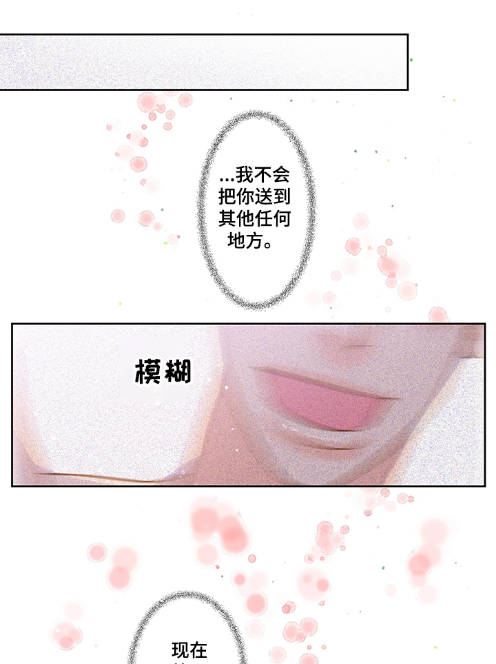 《王子的使命》第62章威胁 第10页