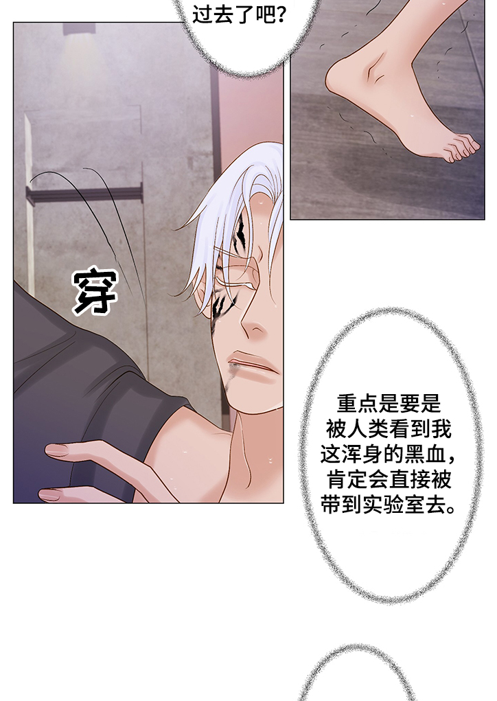 《王子的使命》第60章极限的身体 第11页
