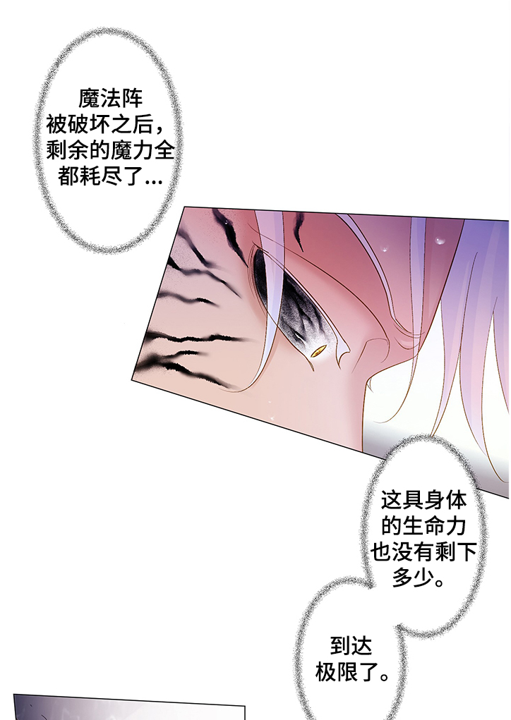 《王子的使命》第60章极限的身体 第7页