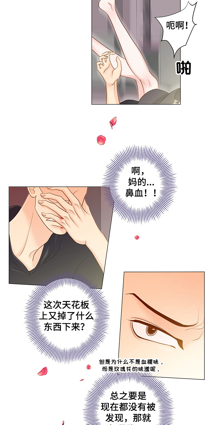 《王子的使命》第57章他选择的是我 第10页