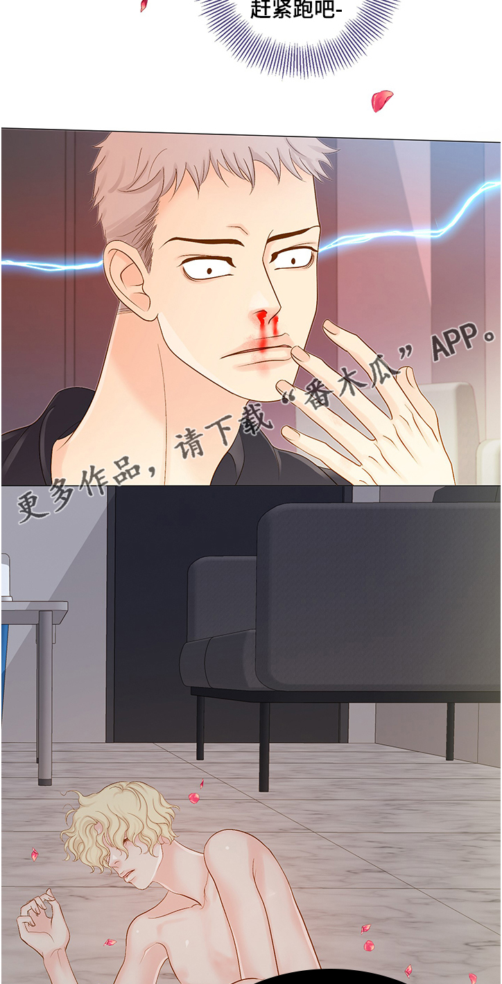 《王子的使命》第57章他选择的是我 第11页