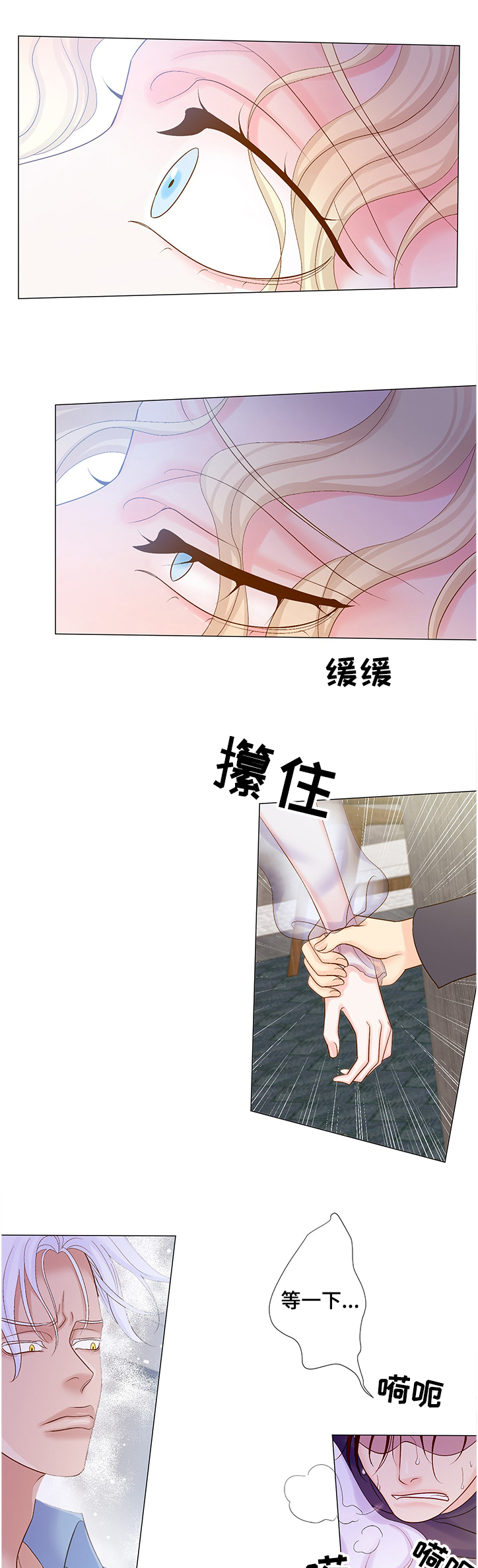 《王子的使命》第57章他选择的是我 第1页