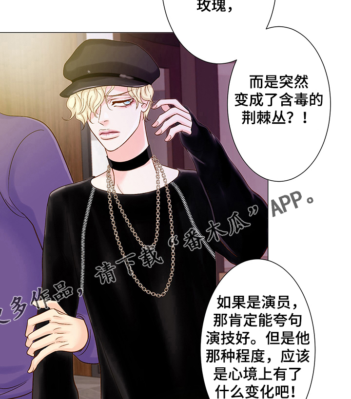 《王子的使命》第48章偷拍 第7页