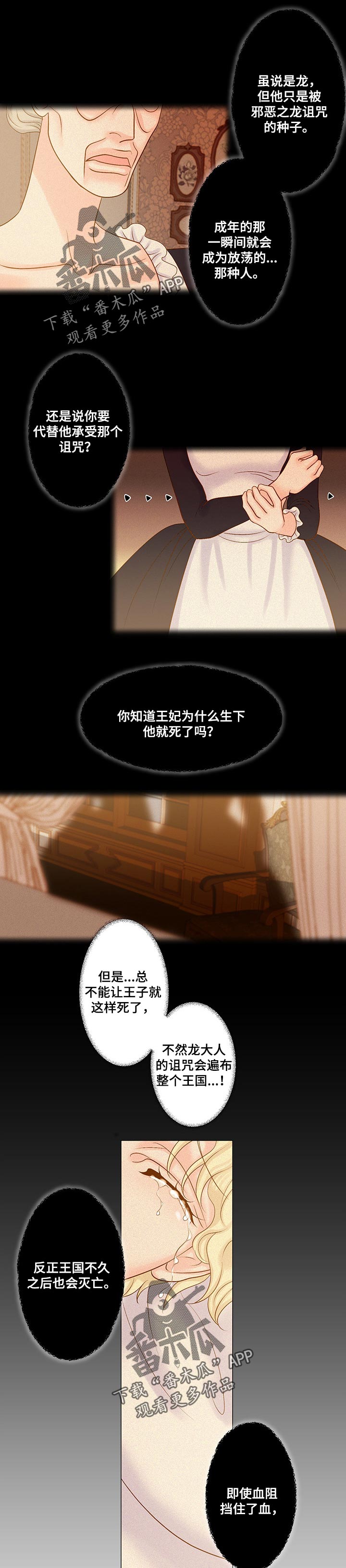 《王子的使命》第42章被诅咒了 第2页