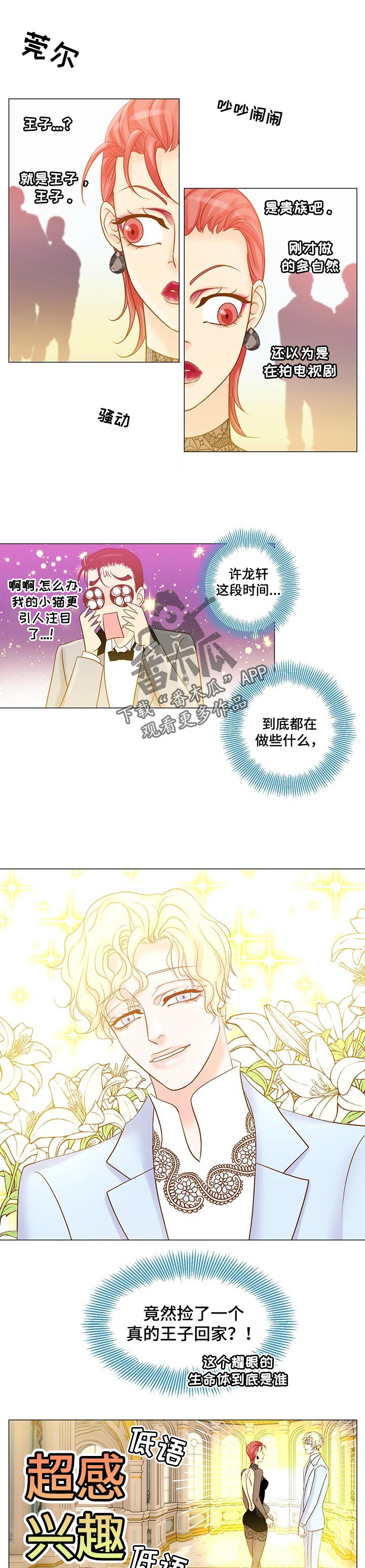 《王子的使命》第32章交流语言 第1页