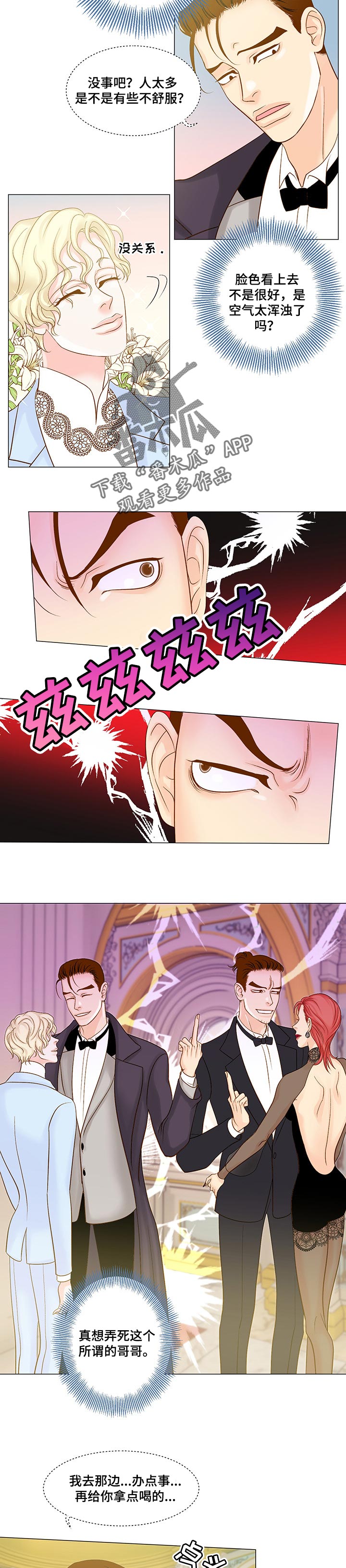 《王子的使命》第31章绅士礼仪 第2页