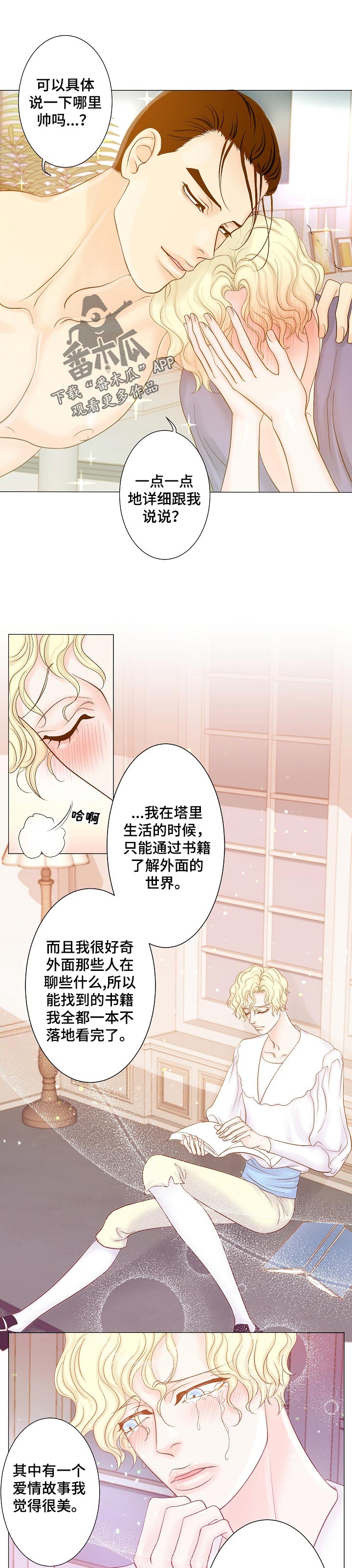《王子的使命》第23章绑架的王子 第1页