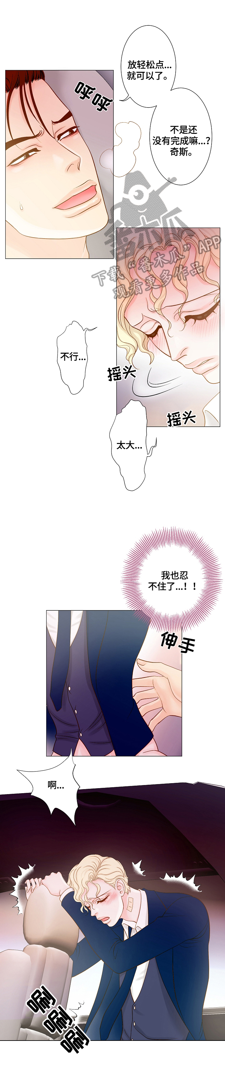 《王子的使命》第16章忍不住 第11页