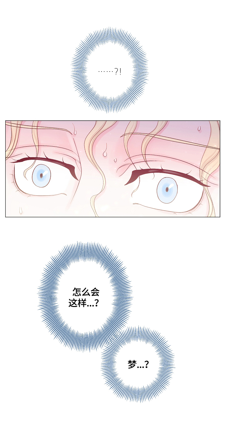 《王子的使命》第11章梦 第11页