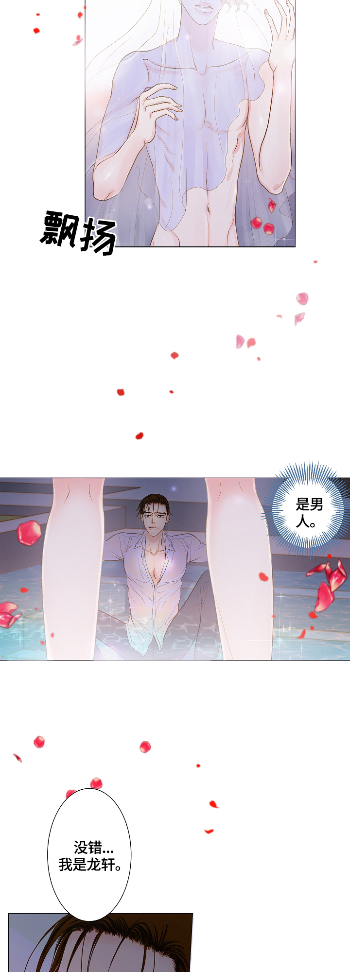 《王子的使命》第1章天降王子 第10页