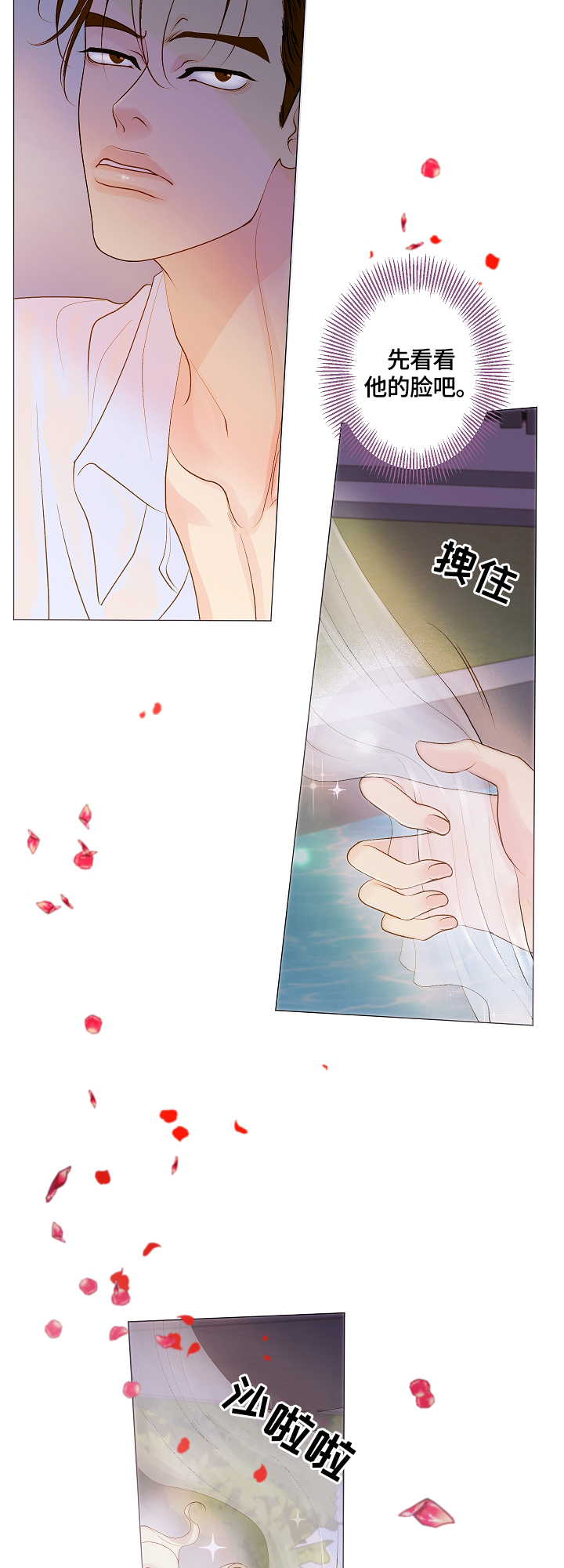 《王子的使命》第1章天降王子 第11页