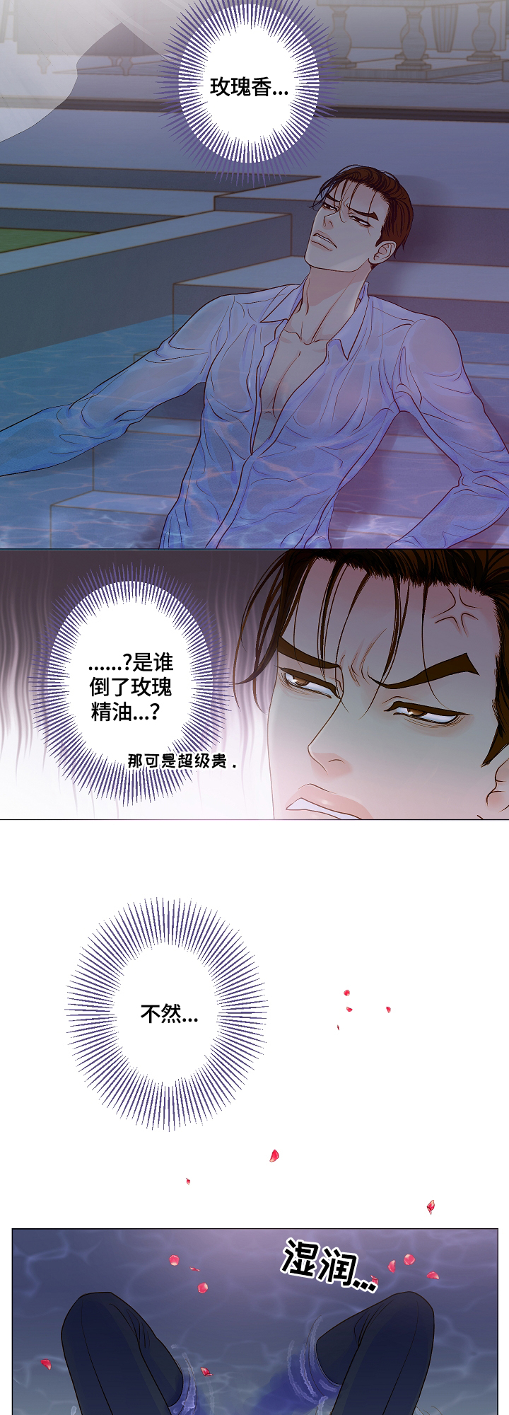 《王子的使命》第1章天降王子 第6页