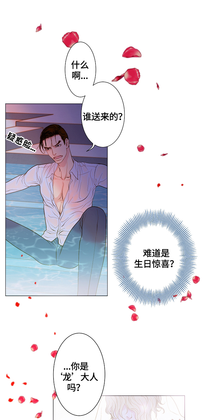 《王子的使命》第1章天降王子 第9页