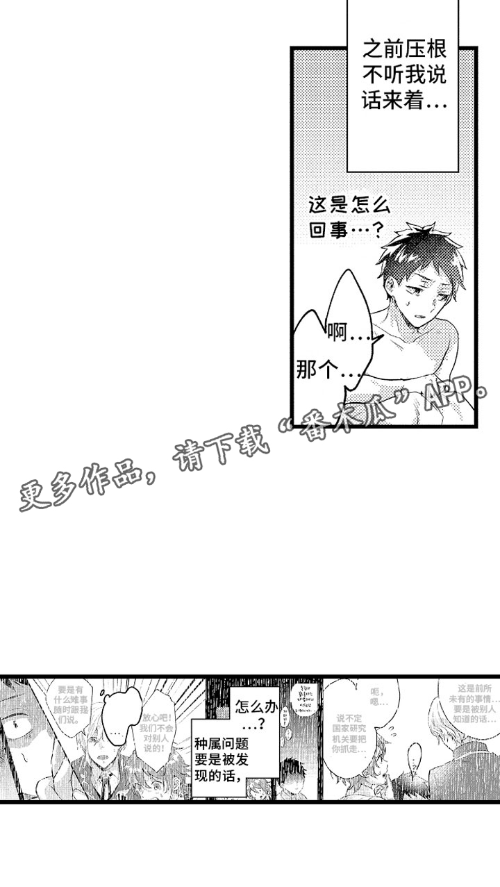《变身欧米伽》第25章酒后 第20页