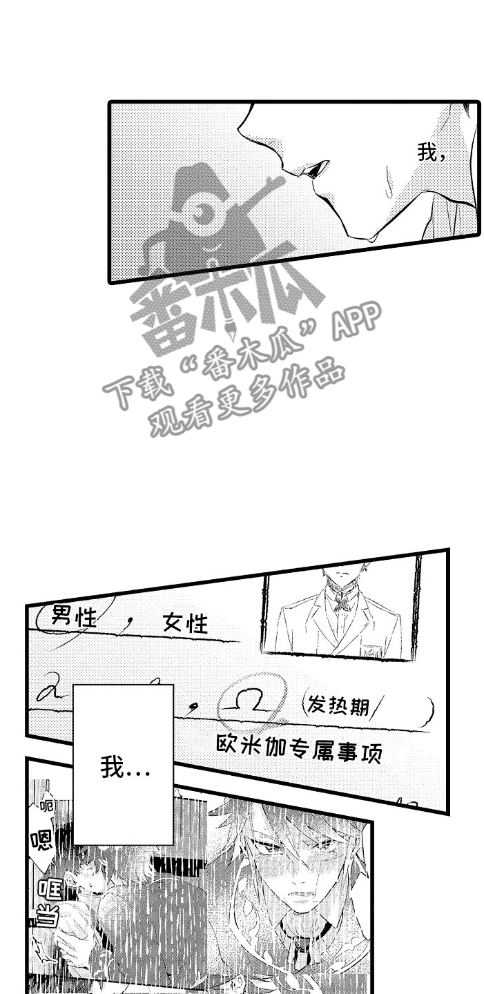 《变身欧米伽》第9章和你一组 第14页