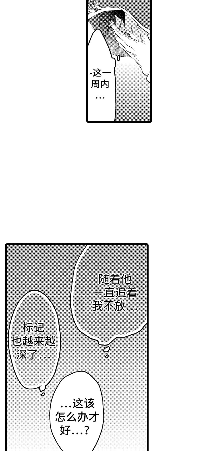 《变身欧米伽》第11章困局 第16页
