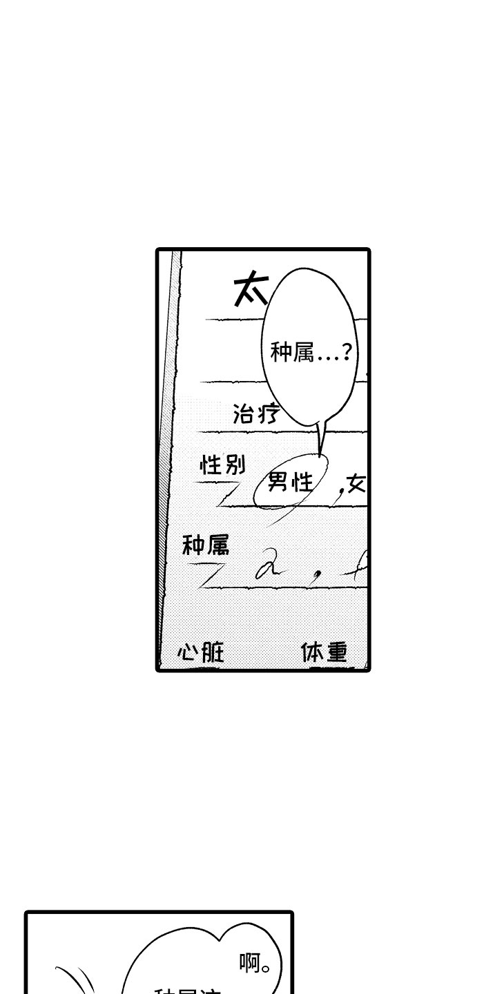 《变身欧米伽》第4章种属 第13页