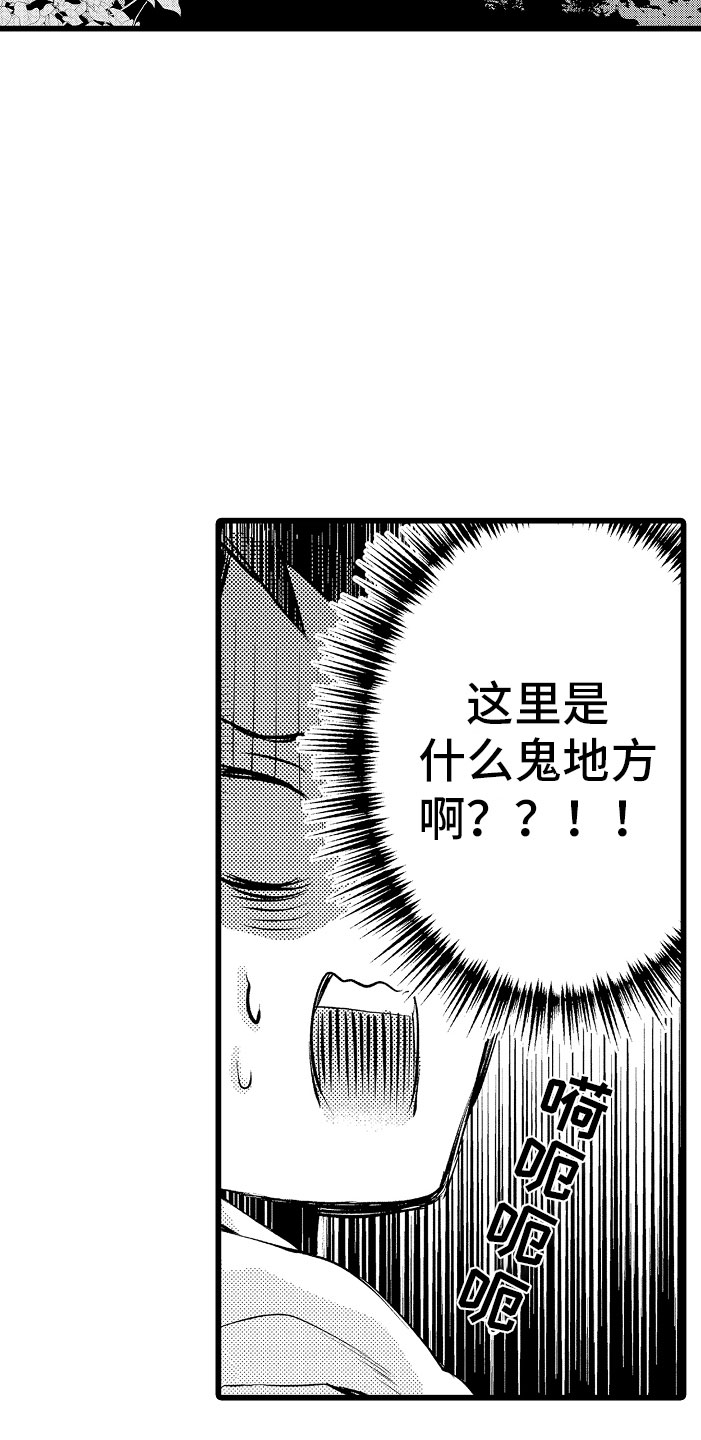 《变身欧米伽》第2章车祸 第15页