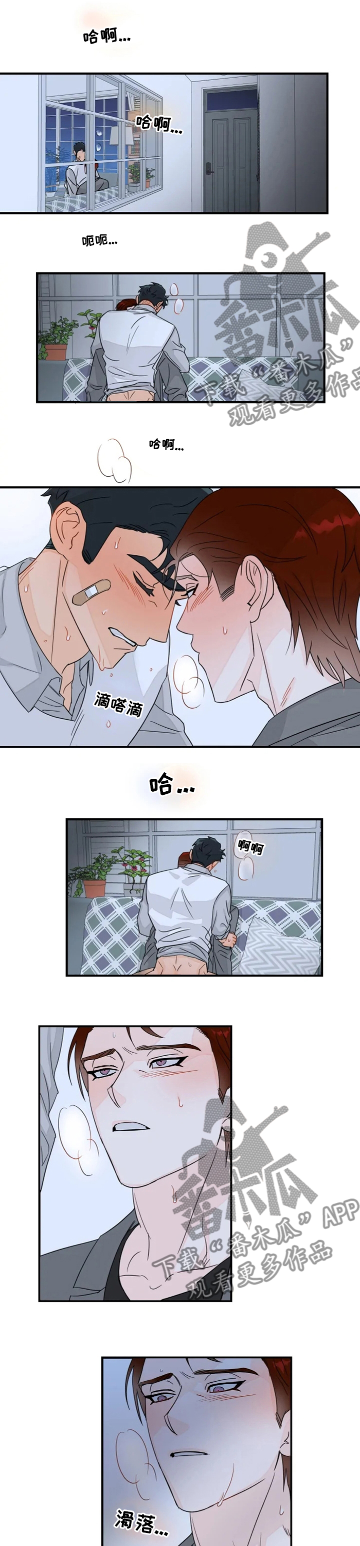 《雷伊的选择》第35章不要勉强 第1页