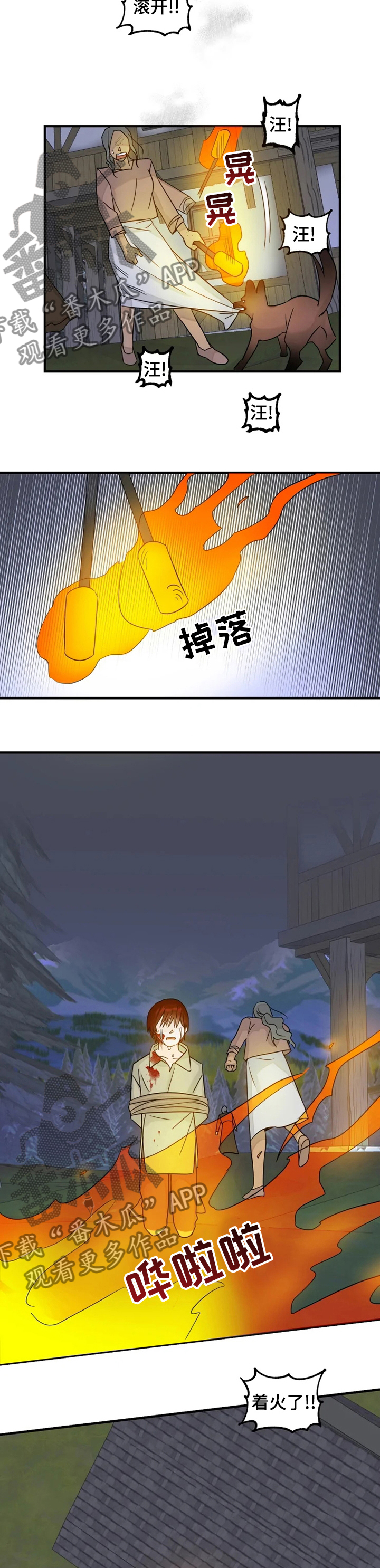 《雷伊的选择》第28章遇见你的梦 第2页