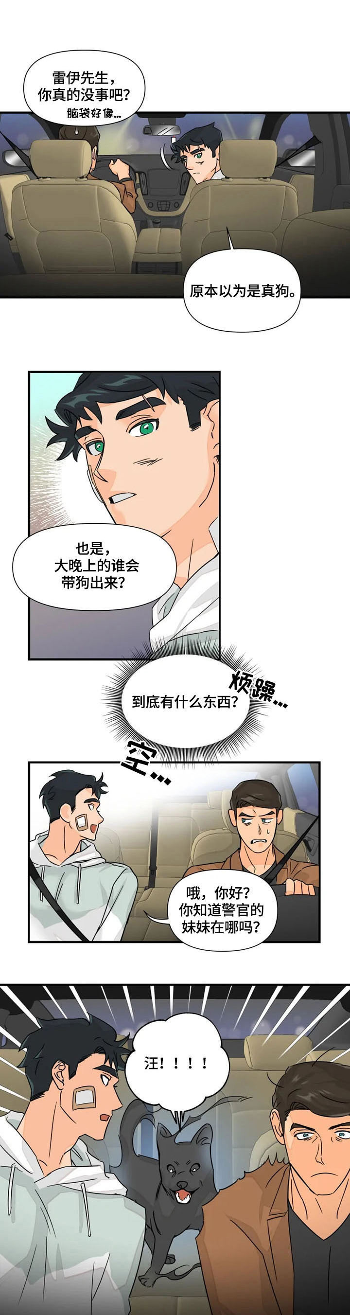 《雷伊的选择》第23章声音 第7页