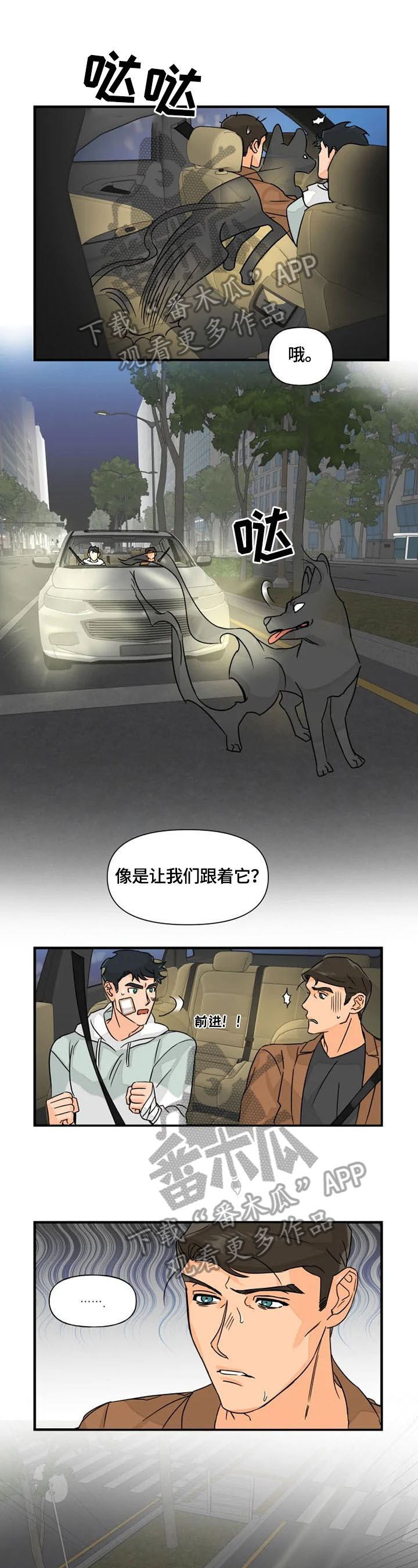 《雷伊的选择》第24章引导 第1页