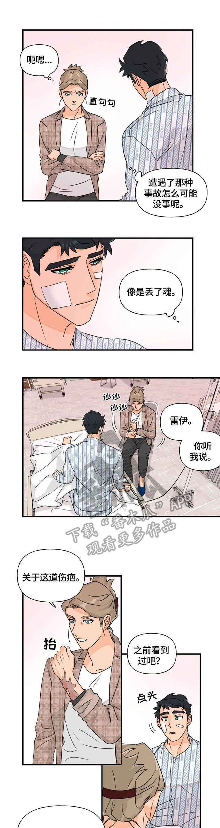 《雷伊的选择》第20章探望 第6页