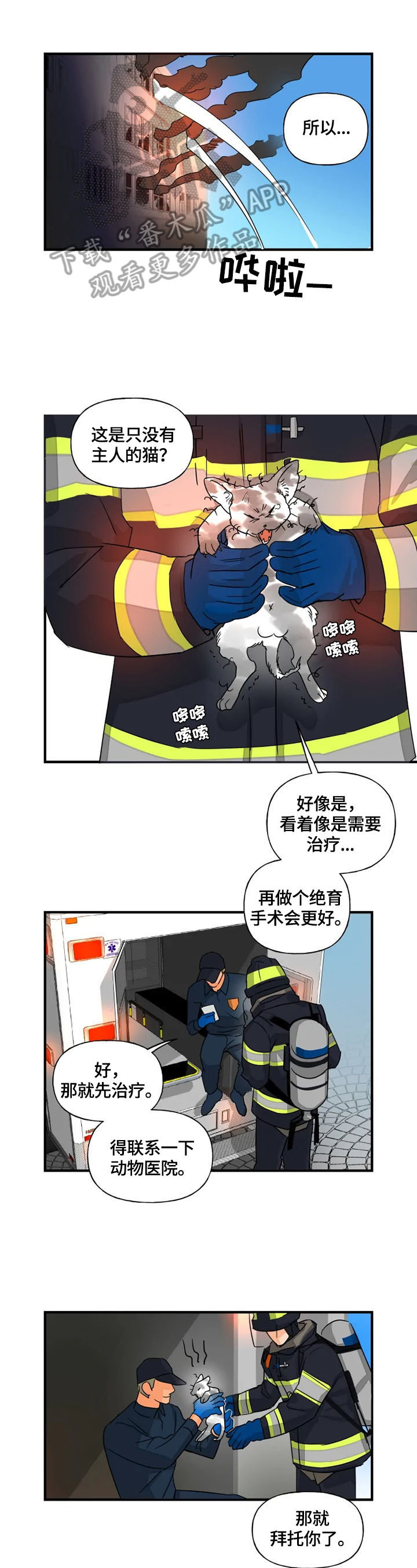 《雷伊的选择》第12章取名 第1页