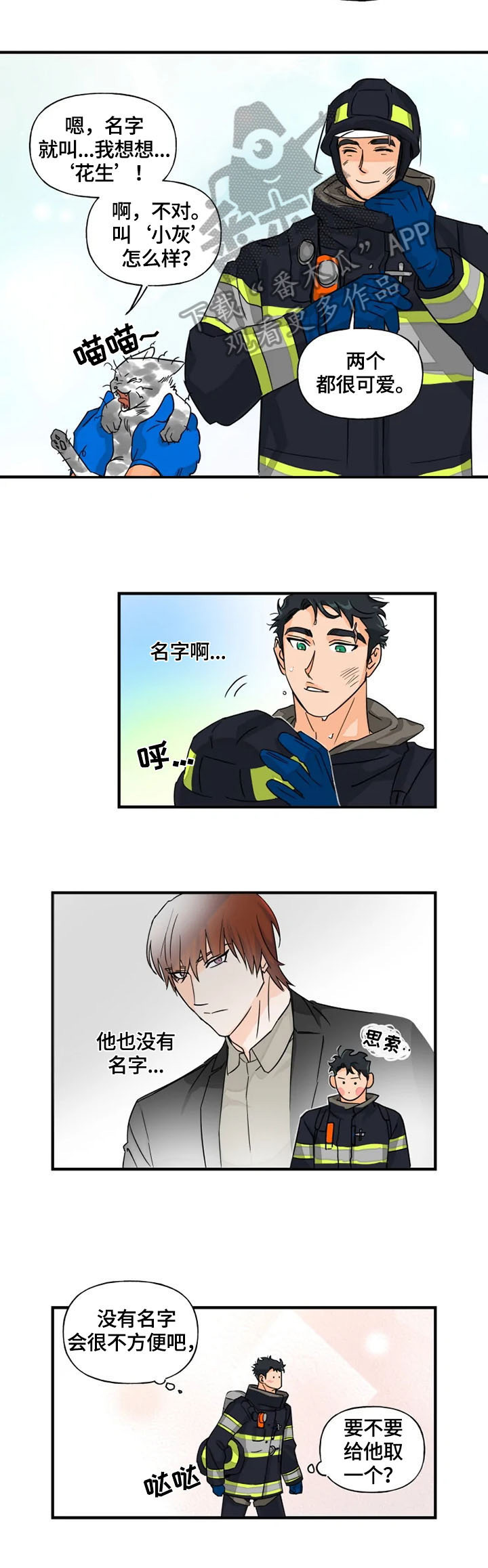《雷伊的选择》第12章取名 第2页