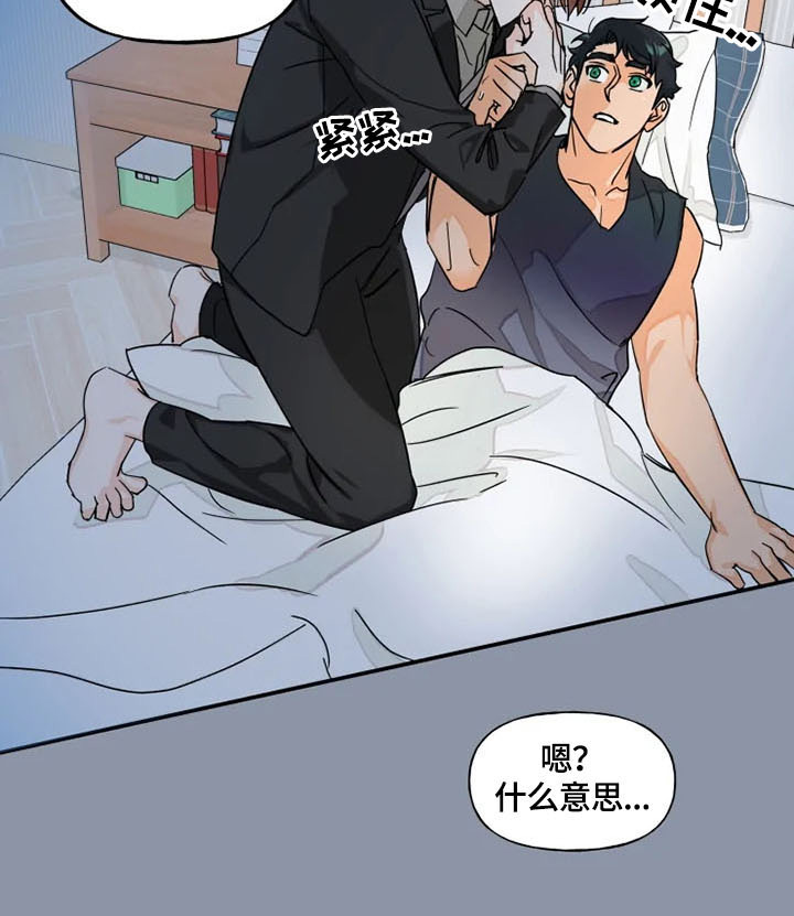 《雷伊的选择》第7章安心 第5页