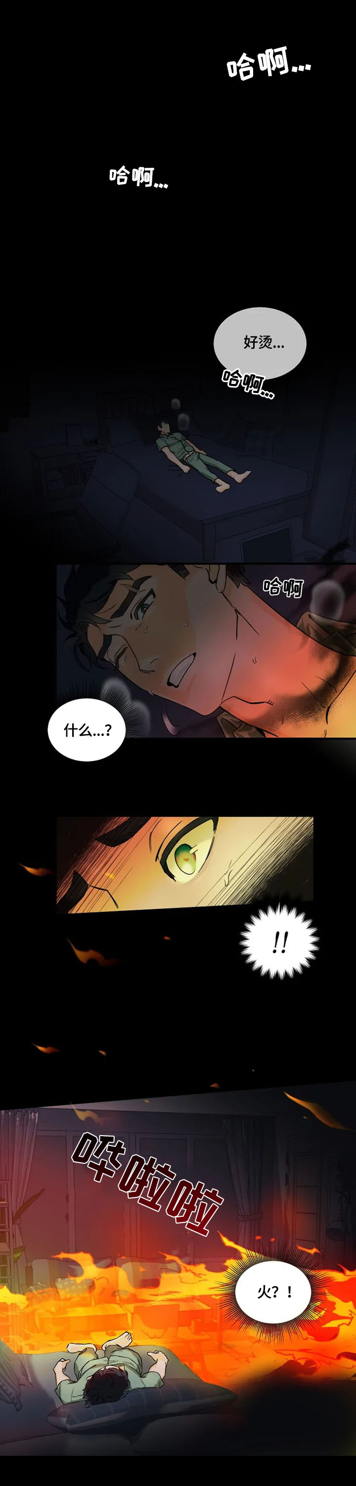 《雷伊的选择》第1章家庭 第1页