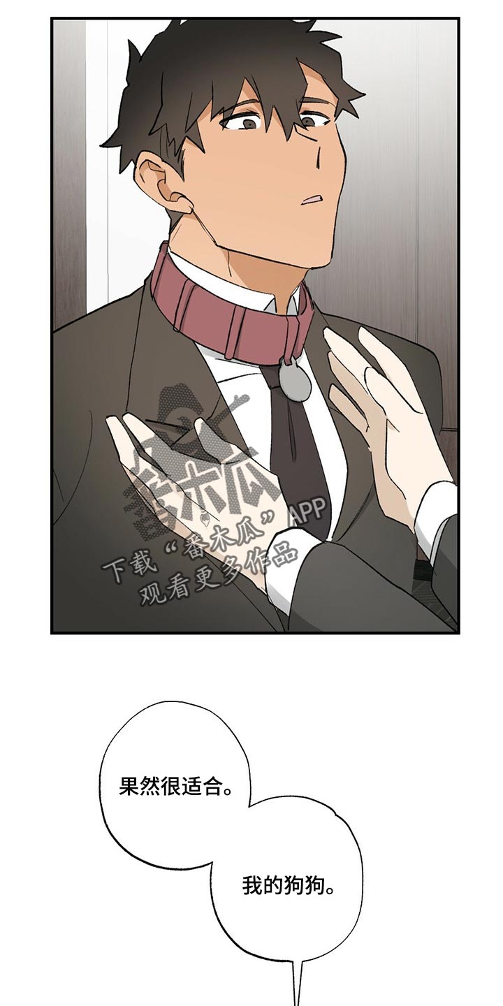 《专属欧米伽》第61章【故事四】不要逃跑 第21页
