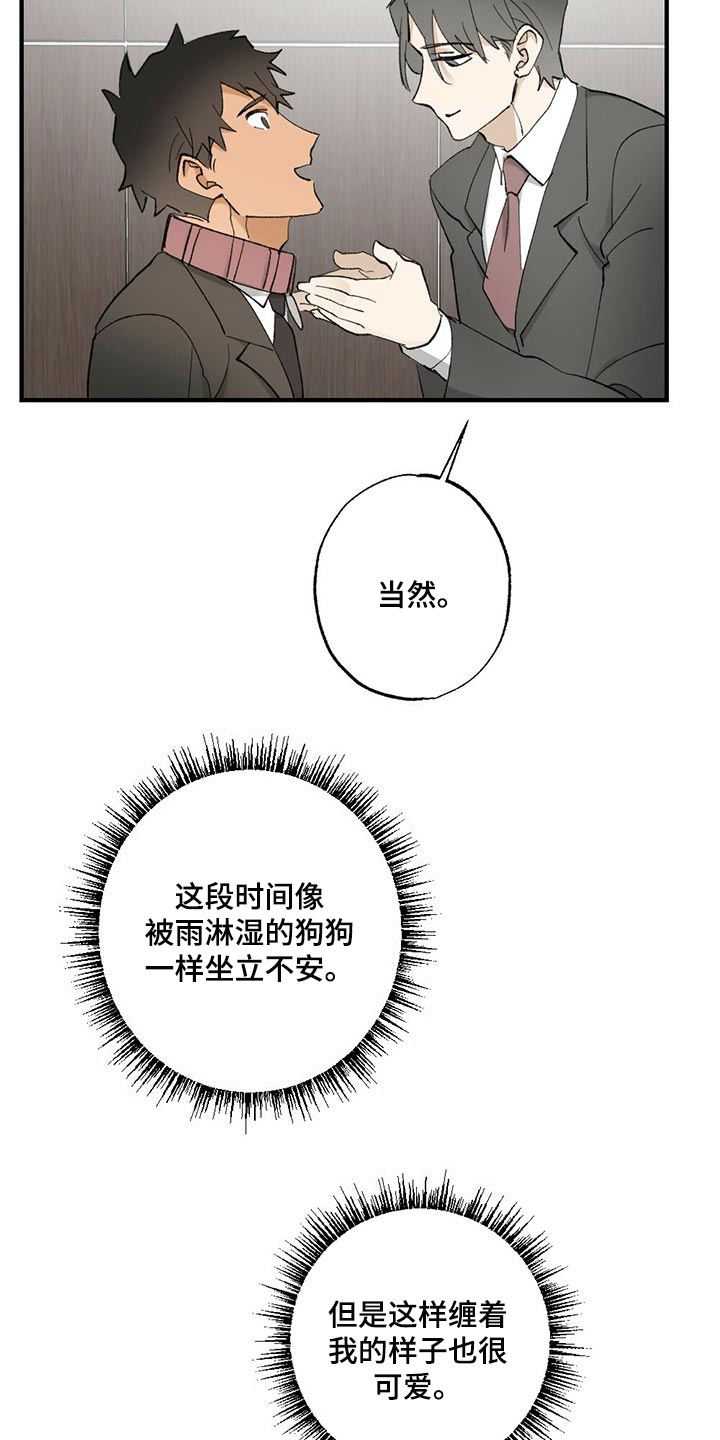 《专属欧米伽》第61章【故事四】不要逃跑 第23页