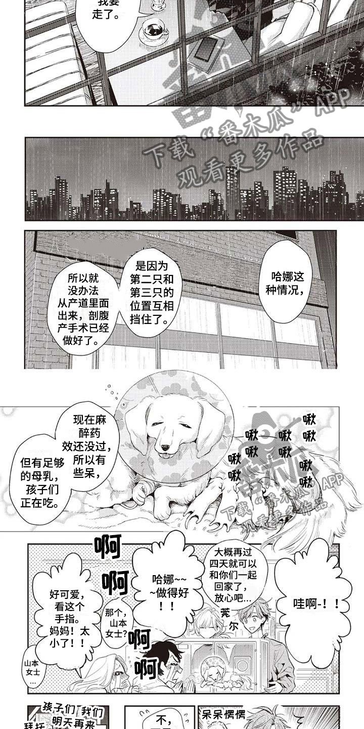 《游戏重启》第25章违约 第7页
