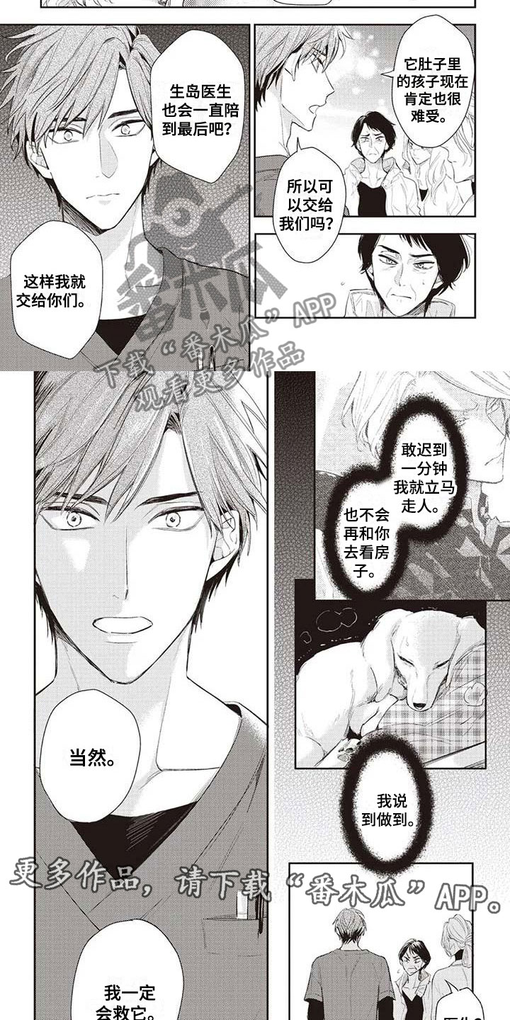 《游戏重启》第24章紧急情况 第6页